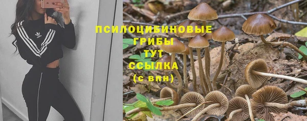 MDMA Баксан